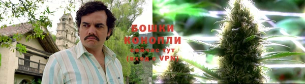 дурь Аркадак
