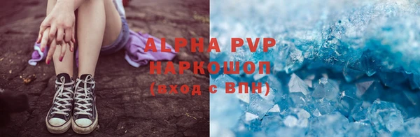 сатива Болохово