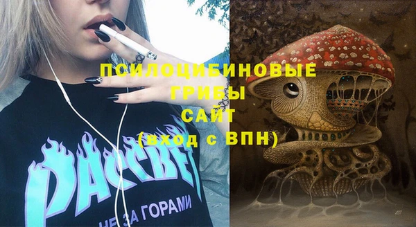 метадон Арсеньев