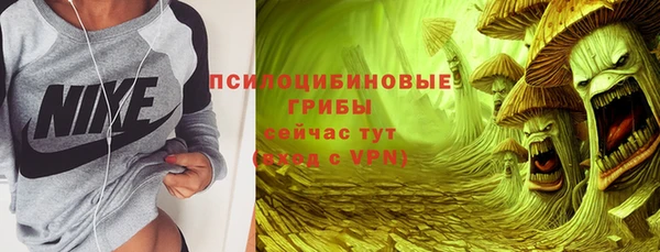 дурь Аркадак