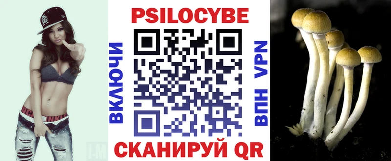Галлюциногенные грибы мицелий  OMG ССЫЛКА  Данков 
